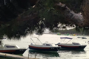 BOAT AND SPEEDBOAT RENTALS