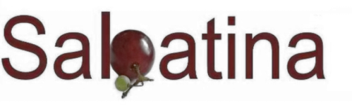 Sabatina Logo