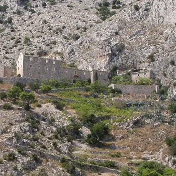 Dračeva luka
